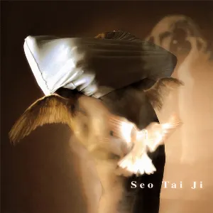 Pochette de Seo Tai Ji de Seo Taiji