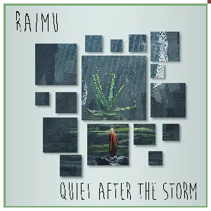 Pochette de Quiet After the Storm de Raimu