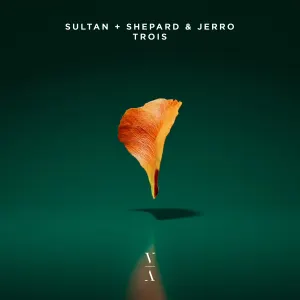 Pochette de Trois de Sultan + Shepard