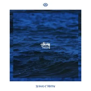 Pochette de The Seems de Sam Gellaitry