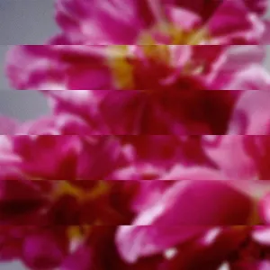 Pochette de 何度でも新しく生まれる de MONDO GROSSO