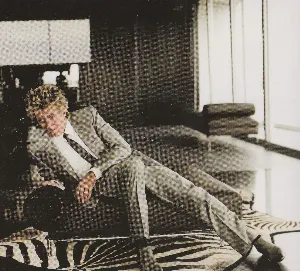 Pochette de Greatest Hits de Rod Stewart
