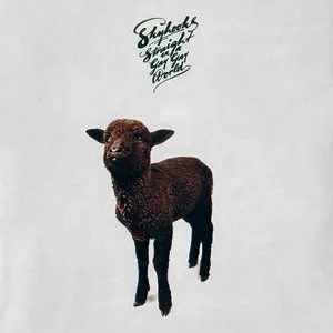 Pochette de Straight in a Gay Gay World de Skyhooks