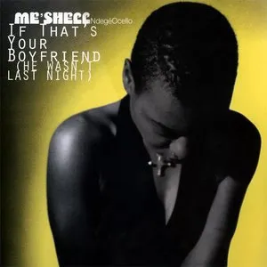 Pochette de If That's Your Boyfriend (He Wasn't Last Night) de Meshell Ndegeocello