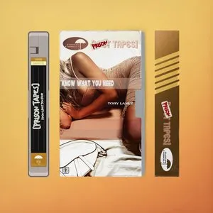 Pochette de Know What You Need (Prison Tapes) de Tory Lanez