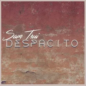 Pochette de Despacito de Sam Tsui