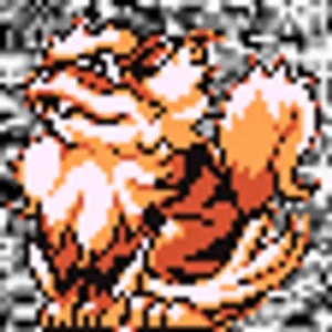 Pochette de #059 ~ Arcanine de h POKéDEX