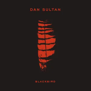 Pochette de Blackbird de Dan Sultan