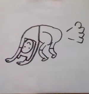 Pochette de A PICTURE OF FINN FARTING de Renard