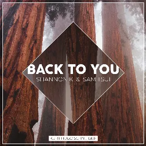 Pochette de Back To You de Sam Tsui - Kurt Hugo Schneider