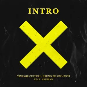 Pochette de Intro (Rework) (Remix) de Vintage Culture