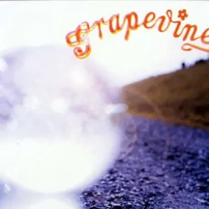 Pochette de ナツノヒカリ de GRAPEVINE