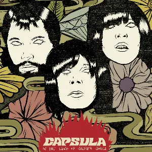 Pochette de In The Land Of Silver Souls de Capsula