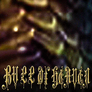 Pochette de 146: Vicious, Cruel, Incapable of Remorse de Bull of Heaven
