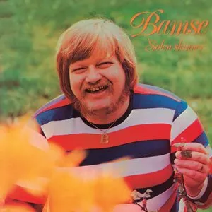 Pochette de Solen skinner de Flemming Bamse Jørgensen
