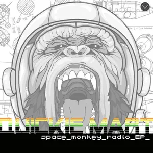 Pochette Space Monkey Radio EP