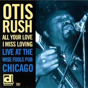 Pochette All Your Love I Miss Loving: Live at the Wise Fools Pub Chicago