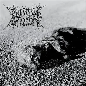 Pochette de Caucasian Flagellation de Tboptpias