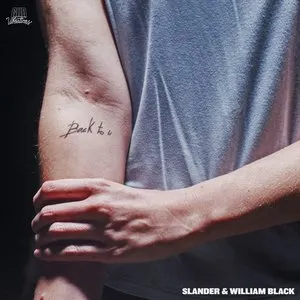 Pochette de Back to U de SLANDER