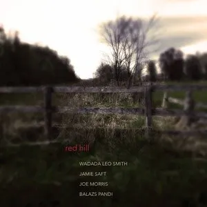 Pochette de Red Hill de Wadada Leo Smith - Balázs Pándi - Joe Morris