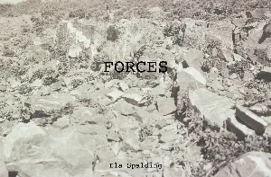 Pochette de Forces de Ela Spalding