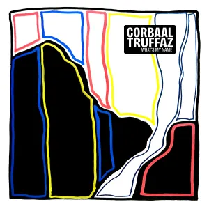 Pochette de What's My Name de Erik Truffaz