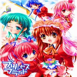 Pochette de princess de dgty