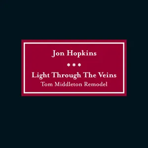 Pochette de Light Through the Veins (Tom Middleton remodel) de Jon Hopkins