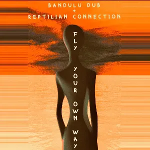 Pochette de Fly Your Own Way de Bandulu Dub