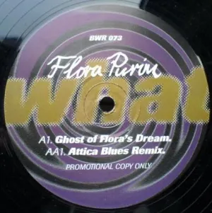 Pochette de What You See de Flora Purim