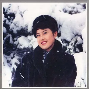 Pochette de Vol. 9: Chon Hye Yong's Solo 1 de Pochonbo Electronic Ensemble
