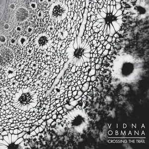 Pochette de Crossing the Trail de Vidna Obmana