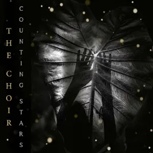 Pochette de Counting Stars de The Choir