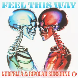 Pochette de Feel This Way de Bipolar Sunshine