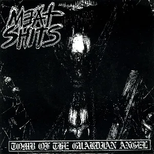 Pochette de Tomb of the Guardian Angel / Untitled de Meat Shits