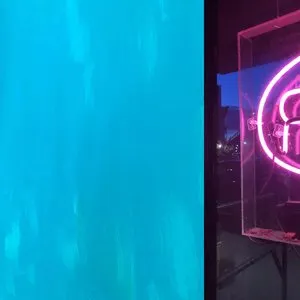 Pochette de kosciuszko de Emily Webb