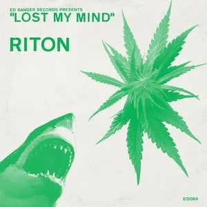 Pochette de Lost My Mind de Riton