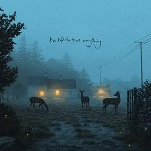 Pochette de I've told the trees everything - EP de Dermot Kennedy