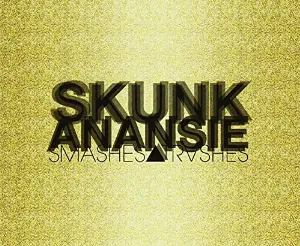 Pochette de Best de Skunk Anansie