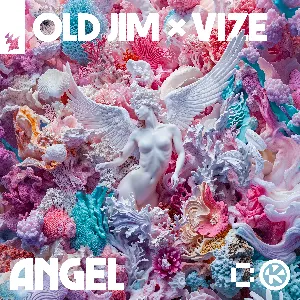 Pochette de Angel de VIZE