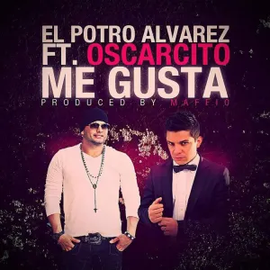 Pochette de Me gusta de El Potro Álvarez