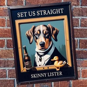 Pochette de Set Us Straight de Skinny Lister