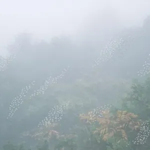 Pochette de Mist de Chihei Hatakeyama