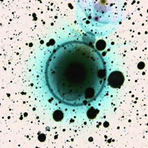 Pochette de Simple Science de Zero 7