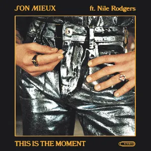 Pochette de This Is the Moment de Nile Rodgers