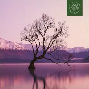 Pochette de Morning Dew de Sátyr