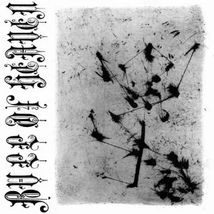 Pochette de XLVIII de Bull of Heaven