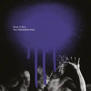 Pochette de Made of Rain de The Psychedelic Furs