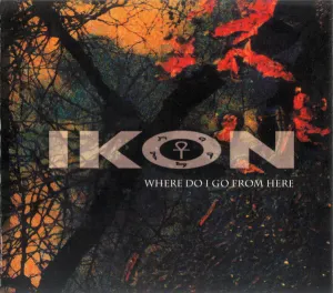 Pochette de Where Do I Go From Here de Ikon