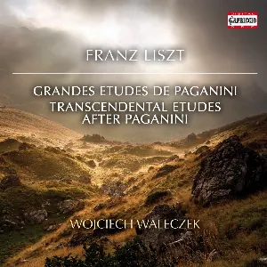 Pochette de Grandes études de Paganini / Transcendental Etudes / After Paganini de Franz Liszt